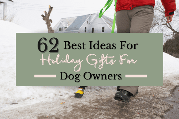 Dog Holiday Gifts Header