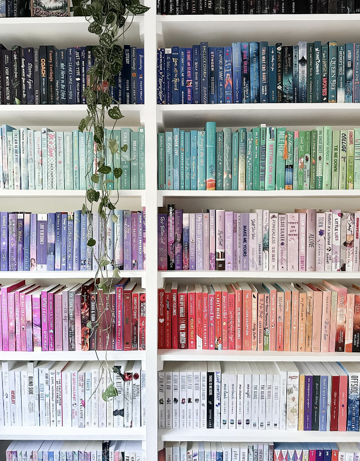 Color Coded Bookshelf