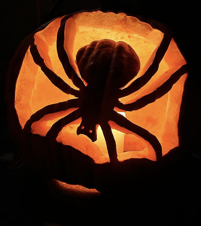 Spider Silhouette Pumpkin